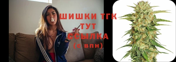 стаф Струнино