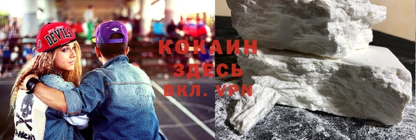прущие грибы Тавда